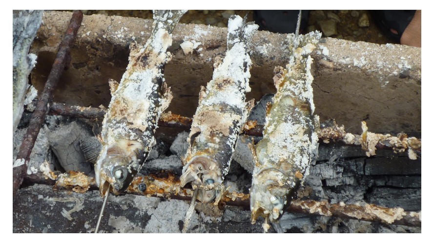 はじめてのキャンプ場でイワナの串焼き